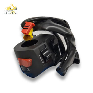 قلوه چپ پالس اصلی